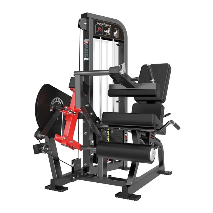 Gym Machine Leg Curl Extension